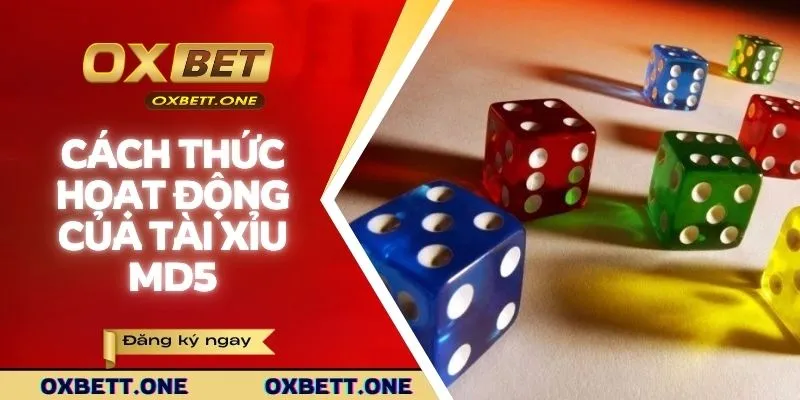 Cách thức hoạt động thực tế của tài xỉu MD5