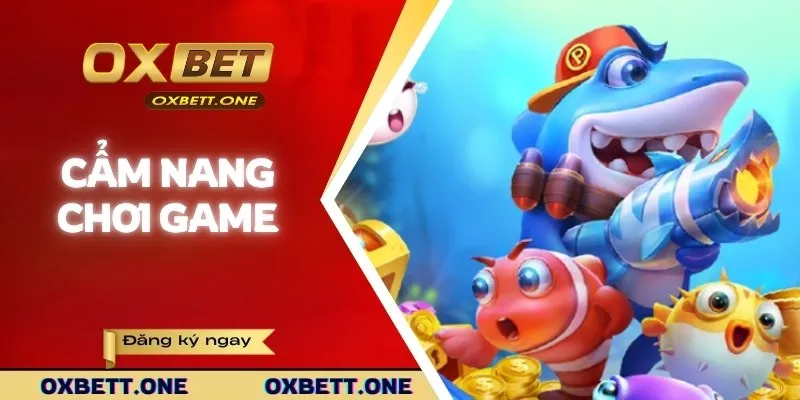 Hướng dẫn chơi săn ngư toàn tập cho hội viên