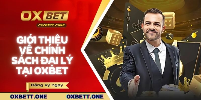 Giới thiệu về chính sách đại lý tại OXBET
