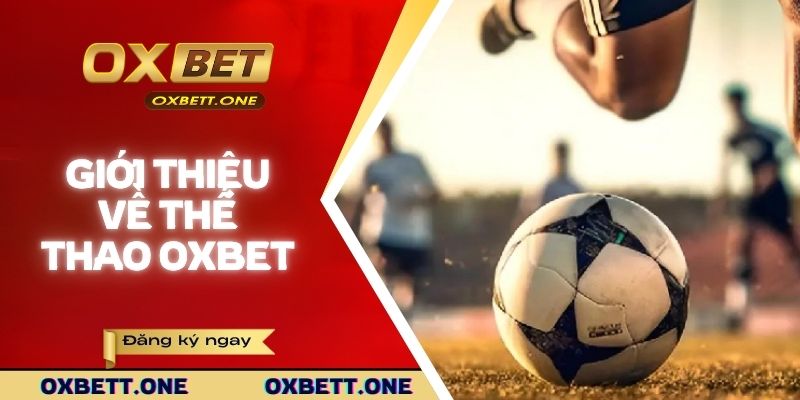 Thể thao Oxbet - cảm hứng giải trí cho bet thủ