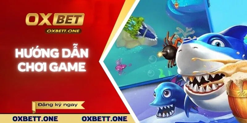 Hướng dẫn về cách chơi game săn ngư dễ dàng