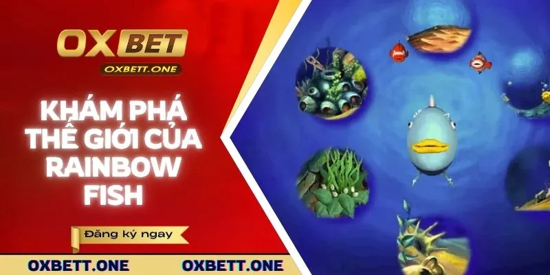 Khám phá thế giới đại dương của Rainbow fish