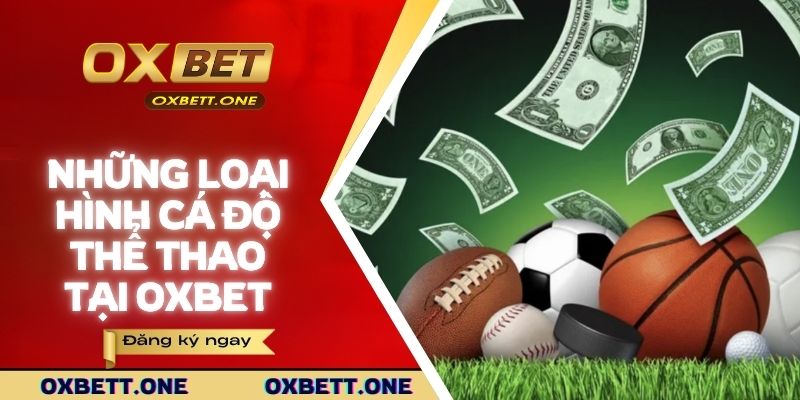 Những loại hình thể thao phổ biến tại nhà cái Oxbet