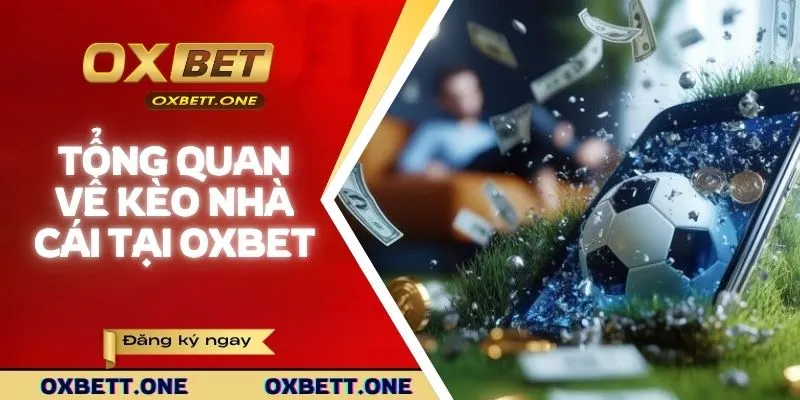 Tổng quan về kèo nhà cái tại OXBET