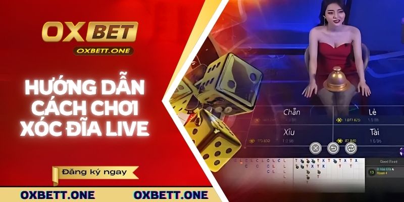 Bật mí chi tiết quy tắc chơi xóc đĩa